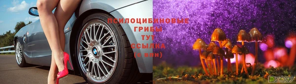 стаф Каменск-Шахтинский